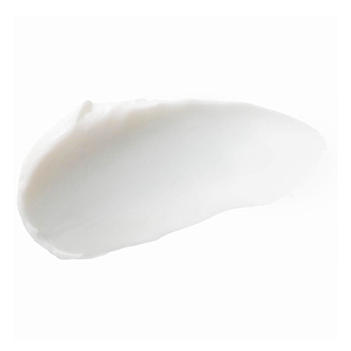 Buy Burt's Bees Peppermint Foot Lotion in Singapore HushSG