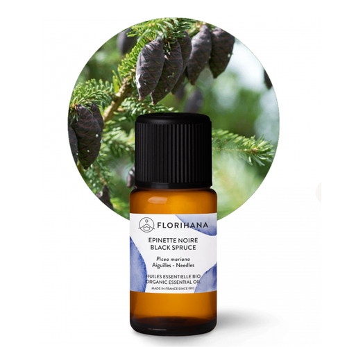 Florihana Essential Oil - Black Spruce [Organic]
