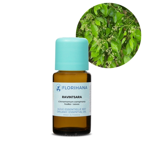 Florihana Essential Oil - Ravintsara [Organic]