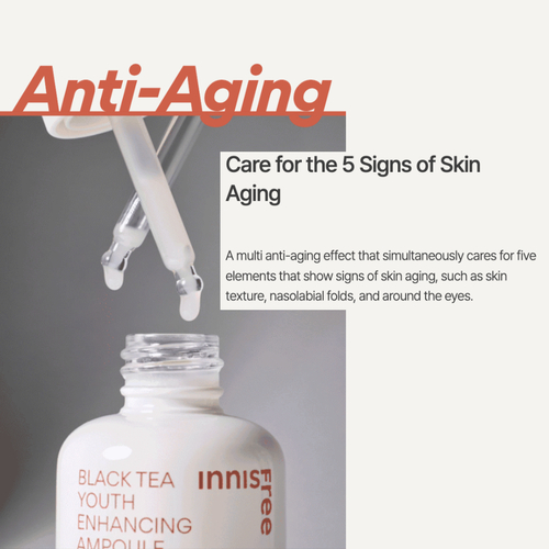 Buy Innisfree Black Tea Youth Enhancing Ampoule in Singapore HushSG