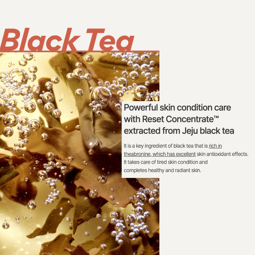 Buy Innisfree Black Tea Youth Enhancing Ampoule in Singapore HushSG