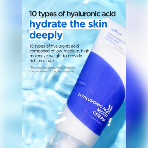 Buy ISNTREE Hyaluronic Acid Moist Cream in Singapore HushSG