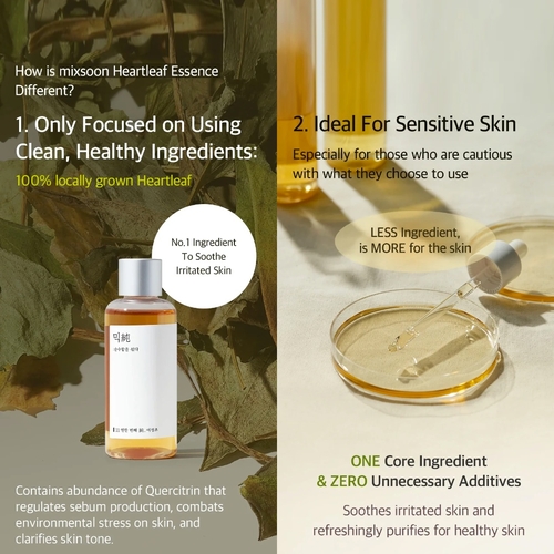 Buy Mixsoon Heartleaf Essence in Singapore | HushSG
