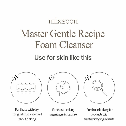 Mixsoon Master Gentle Recipe Foam Cleanser