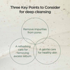 Anua Heartleaf Quercetinol Pore Deep Cleansing Foam