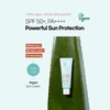 Be The Skin Sebum Zero Aloerice Vegan Sun Cream SPF 50+ PA++++