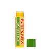 Burt's Bees Moisturizing Lip Balm Ginger Lime - 4.25g