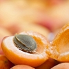 Florihana Carrier Oil - Apricot Seed [Organic]