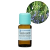 Florihana Essential Oil - Rosemary Camphor [Organic]