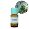 Florihana Essential Oil - Eucalyptus Radiata [Organic]  - 15g
