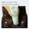 Growus Algae Therapy Mineral No-wash Treatment