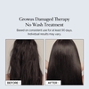 Growus Damage Therapy No-Wash Treatment EX