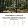 Hetras Premium Reed Diffuser No.9 Jeju Saryeoni Forest - 500ml x 2ea