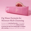 I'm From Fig Foam Cleanser