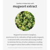 ISNTREE Mugwort Calming Gauze Mask