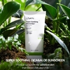 Jumiso Super Soothing Cica & Aloe Sunscreen SPF50+ / PA++++