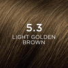 Phyto Phytocolor Permanent Hair Color 5.3 Light Golden Brown - 1 Set