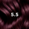Phyto Phytocolor Permanent Hair Color 5.5 Light Mahogany Brown - 1 Set