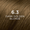 Phyto Phytocolor Permanent Hair Color 6.3 Dark Golden Blonde - 1 Set