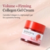 Round Lab Camellia Deep Collagen Firming Cream
